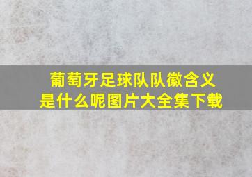 葡萄牙足球队队徽含义是什么呢图片大全集下载