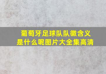 葡萄牙足球队队徽含义是什么呢图片大全集高清