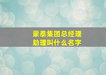 蒙泰集团总经理助理叫什么名字