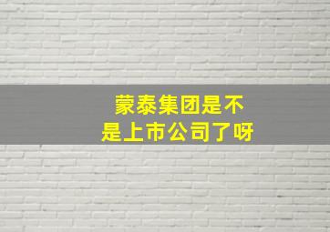 蒙泰集团是不是上市公司了呀