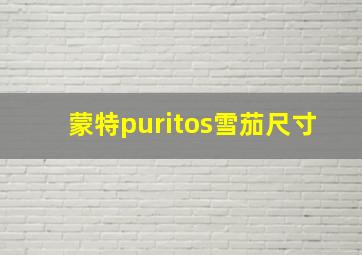 蒙特puritos雪茄尺寸