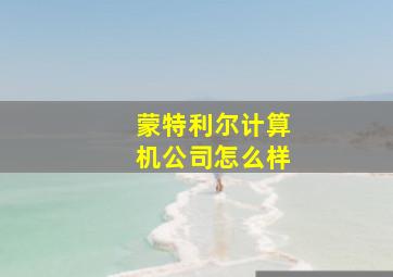 蒙特利尔计算机公司怎么样