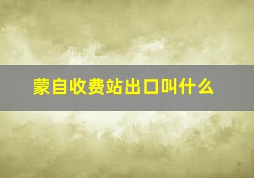 蒙自收费站出口叫什么