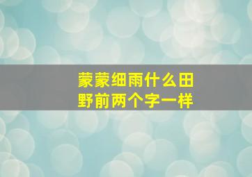 蒙蒙细雨什么田野前两个字一样