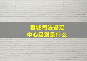 蓉城司法鉴定中心级别是什么