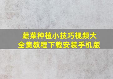 蔬菜种植小技巧视频大全集教程下载安装手机版