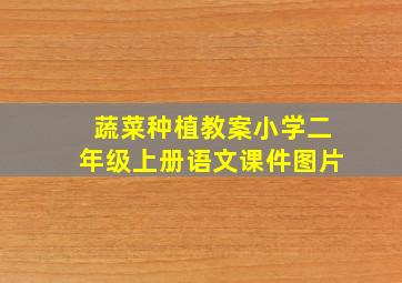 蔬菜种植教案小学二年级上册语文课件图片