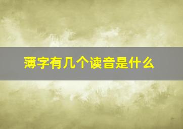 薄字有几个读音是什么