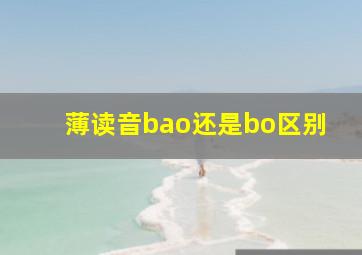 薄读音bao还是bo区别