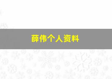 薛伟个人资料