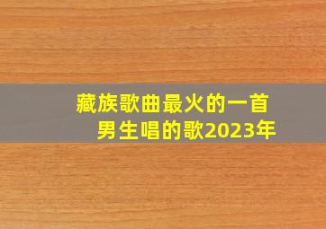 藏族歌曲最火的一首男生唱的歌2023年