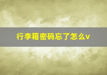 行李箱密码忘了怎么v