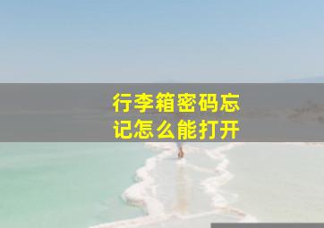 行李箱密码忘记怎么能打开