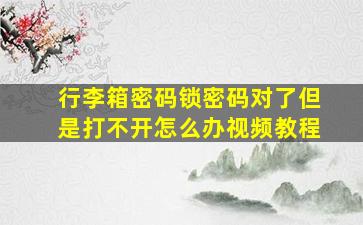 行李箱密码锁密码对了但是打不开怎么办视频教程