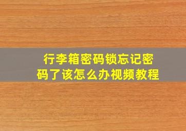 行李箱密码锁忘记密码了该怎么办视频教程