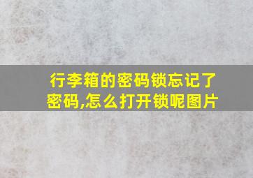 行李箱的密码锁忘记了密码,怎么打开锁呢图片