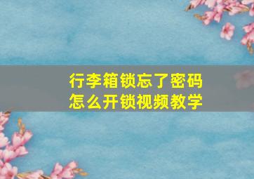 行李箱锁忘了密码怎么开锁视频教学