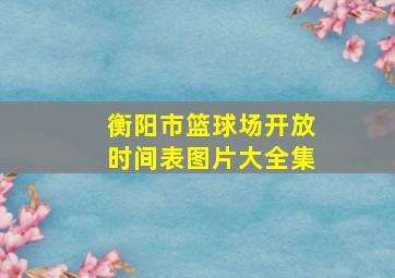 衡阳市篮球场开放时间表图片大全集