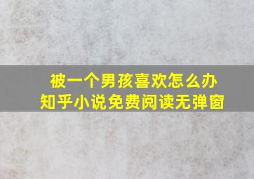 被一个男孩喜欢怎么办知乎小说免费阅读无弹窗