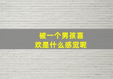 被一个男孩喜欢是什么感觉呢