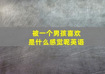 被一个男孩喜欢是什么感觉呢英语