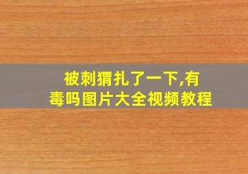 被刺猬扎了一下,有毒吗图片大全视频教程