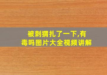 被刺猬扎了一下,有毒吗图片大全视频讲解