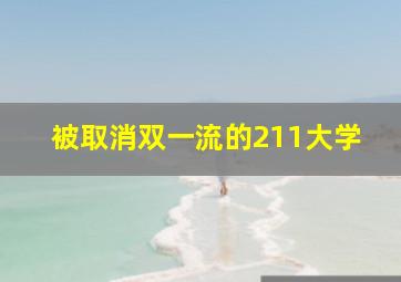 被取消双一流的211大学