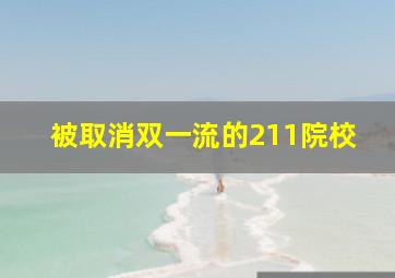 被取消双一流的211院校