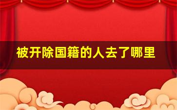 被开除国籍的人去了哪里