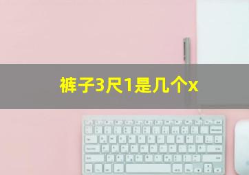 裤子3尺1是几个x