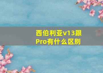 西伯利亚v13跟Pro有什么区别