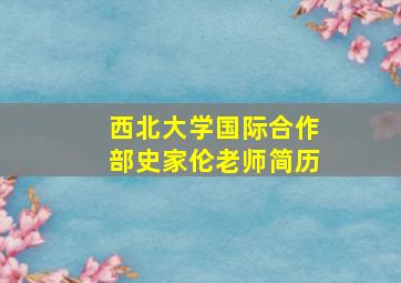 西北大学国际合作部史家伦老师简历