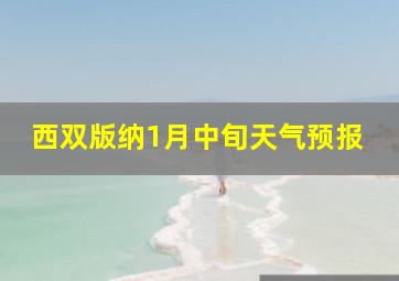 西双版纳1月中旬天气预报