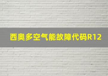 西奥多空气能故障代码R12