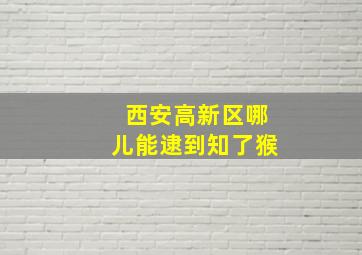 西安高新区哪儿能逮到知了猴