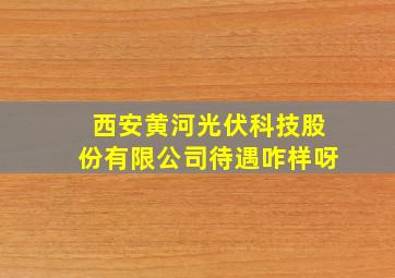 西安黄河光伏科技股份有限公司待遇咋样呀