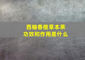 西柚香橙草本茶功效和作用是什么