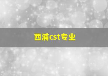 西浦cst专业