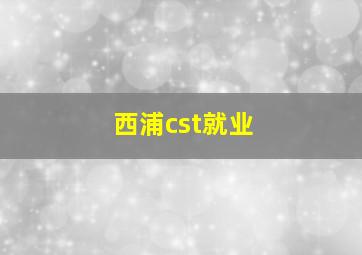 西浦cst就业