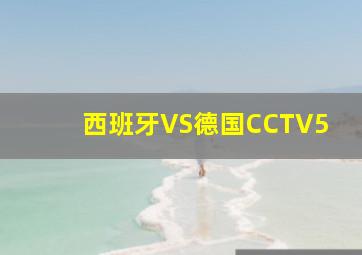 西班牙VS德国CCTV5