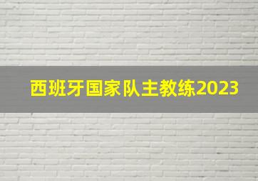 西班牙国家队主教练2023