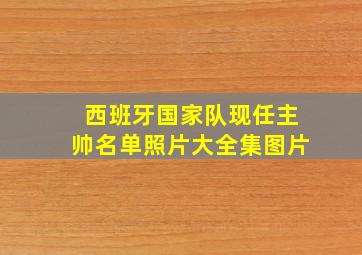 西班牙国家队现任主帅名单照片大全集图片