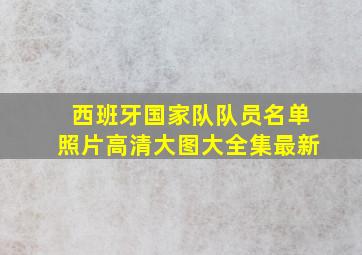 西班牙国家队队员名单照片高清大图大全集最新