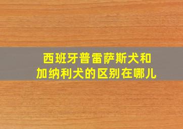 西班牙普雷萨斯犬和加纳利犬的区别在哪儿