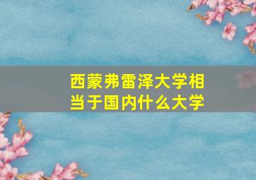 西蒙弗雷泽大学相当于国内什么大学