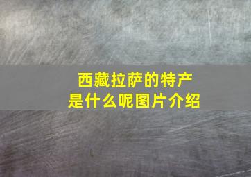 西藏拉萨的特产是什么呢图片介绍