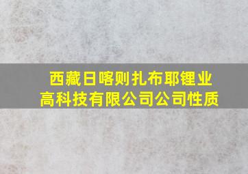 西藏日喀则扎布耶锂业高科技有限公司公司性质