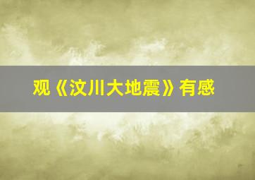 观《汶川大地震》有感