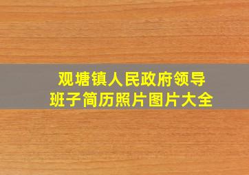 观塘镇人民政府领导班子简历照片图片大全